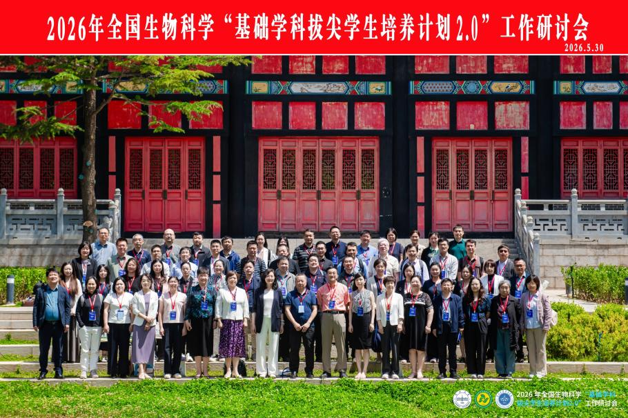 图片12.png